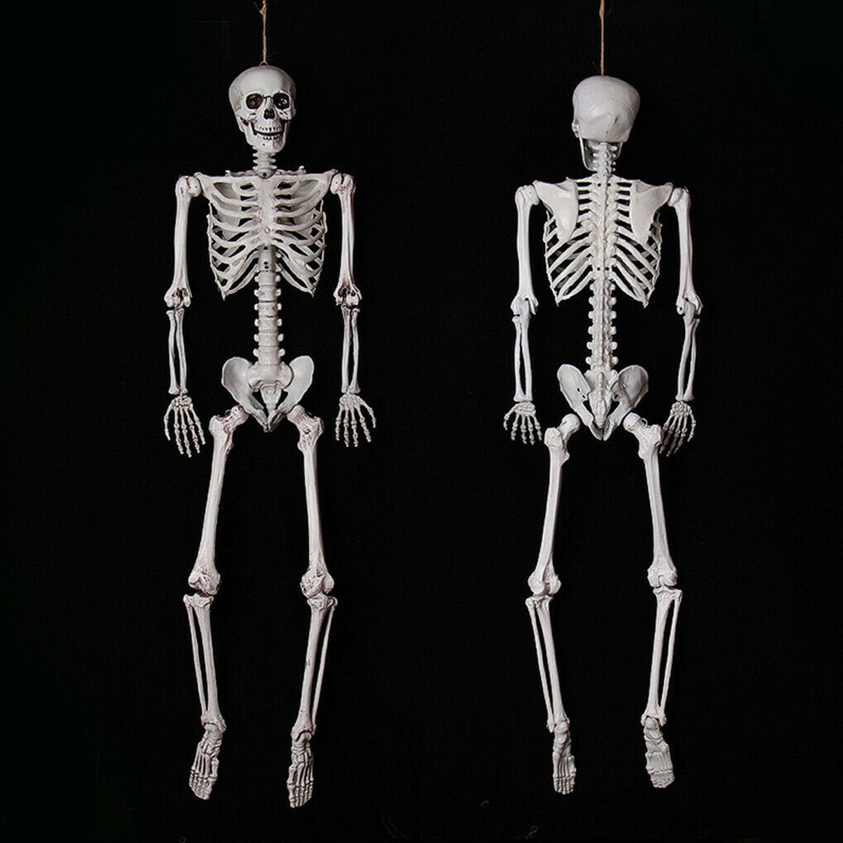90cm-Human-Skeleton-Scary-Bones-Poseable-Hanging-Halloween-Prop-Party-Decorations-1573645