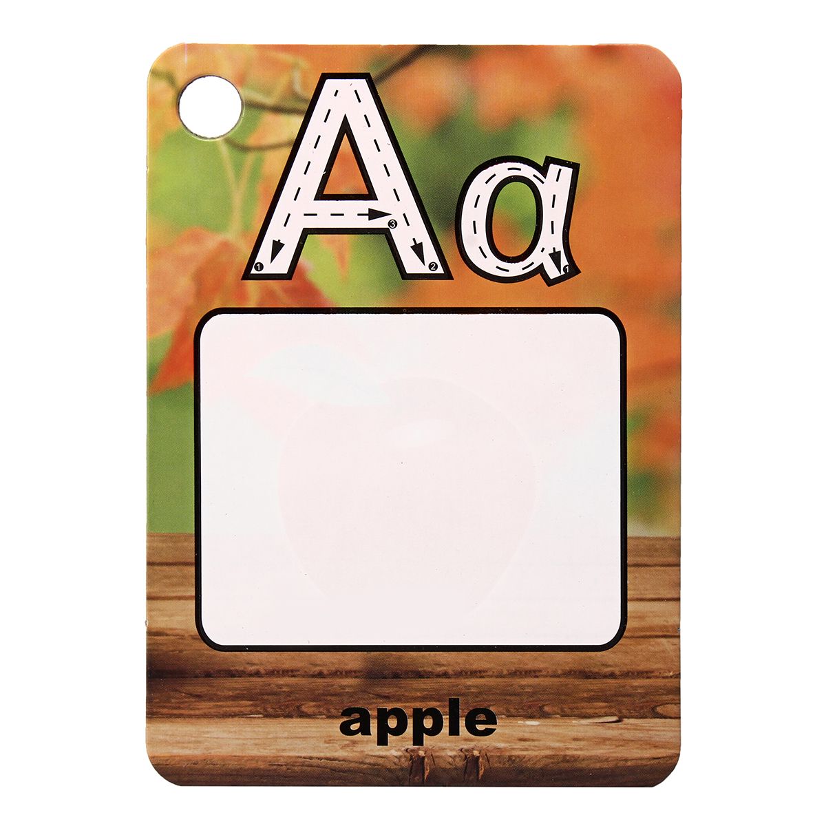 AlphabetNumber-Kids-Magic-Water-Drawing-Flash-Card-Kids-Preschool-Education-Learning-Picture-Science-1448249
