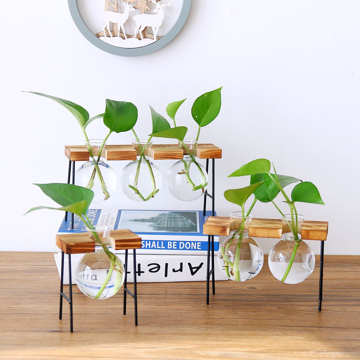 Ball-Shape-Glass-Vase-Plant-Hydroponic-Container-Flower-Bottle-Table-Desk-Decor-with-Wooden-Shelf-St-1478846