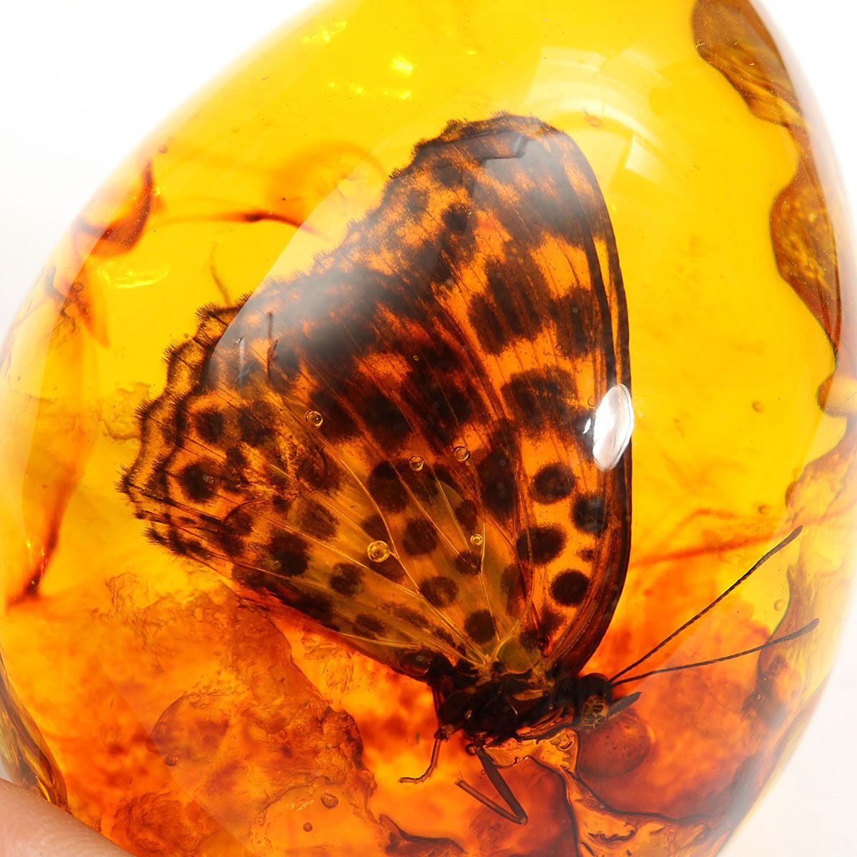 Butterfly-Amber-Resin-Amber-Butterfly-Insect-Stone-Pendant-Necklace-Gift-Decorations-1555753