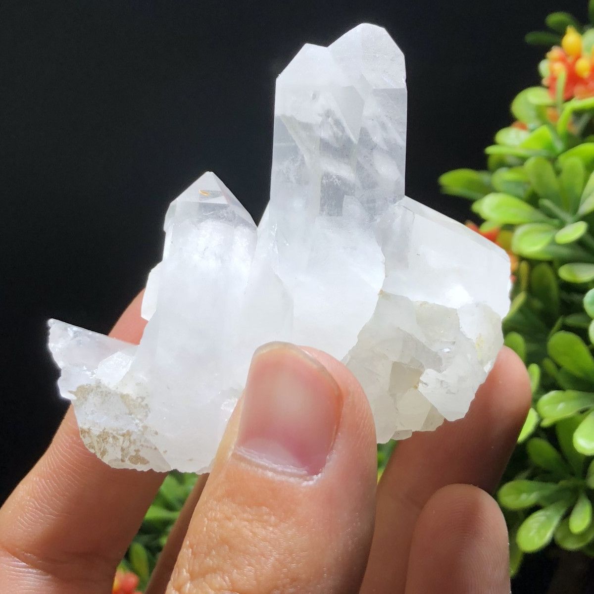 Clear-Quartz-Cluster-Mineral-Specimen-Crystal-Healing-Natural-Home-Decorations-1482462