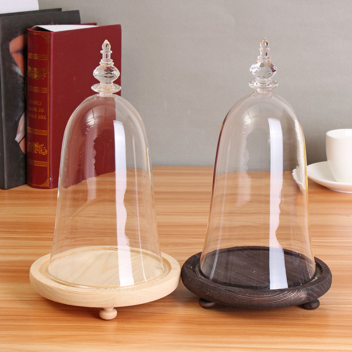 Glass-Display-Dome-Cloche-Box-with-Wooden-Base-Inspired-By-Beauty-and-the-Beast-1477536