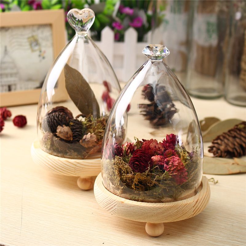Glass-Dome-Clothe-Display-Storage-Bell-Jar-Wooden-Base-Flower-Preservation-Vase-1229217