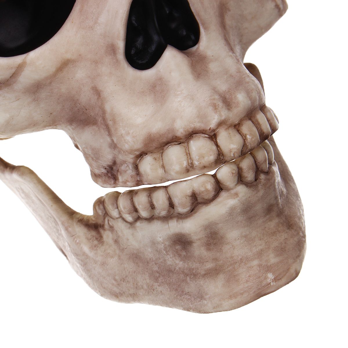 Halloween-Scary-Horror-Skeleton-Decorations-Head-Bones-Skull-Hand-Outdoor-Prop-Party-1583891