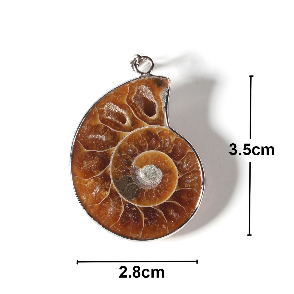 Hot-Madagascar-Sea-Natural-Druzy-Ammonite-Shell-Gemstone-Pendant-Necklace-1564304