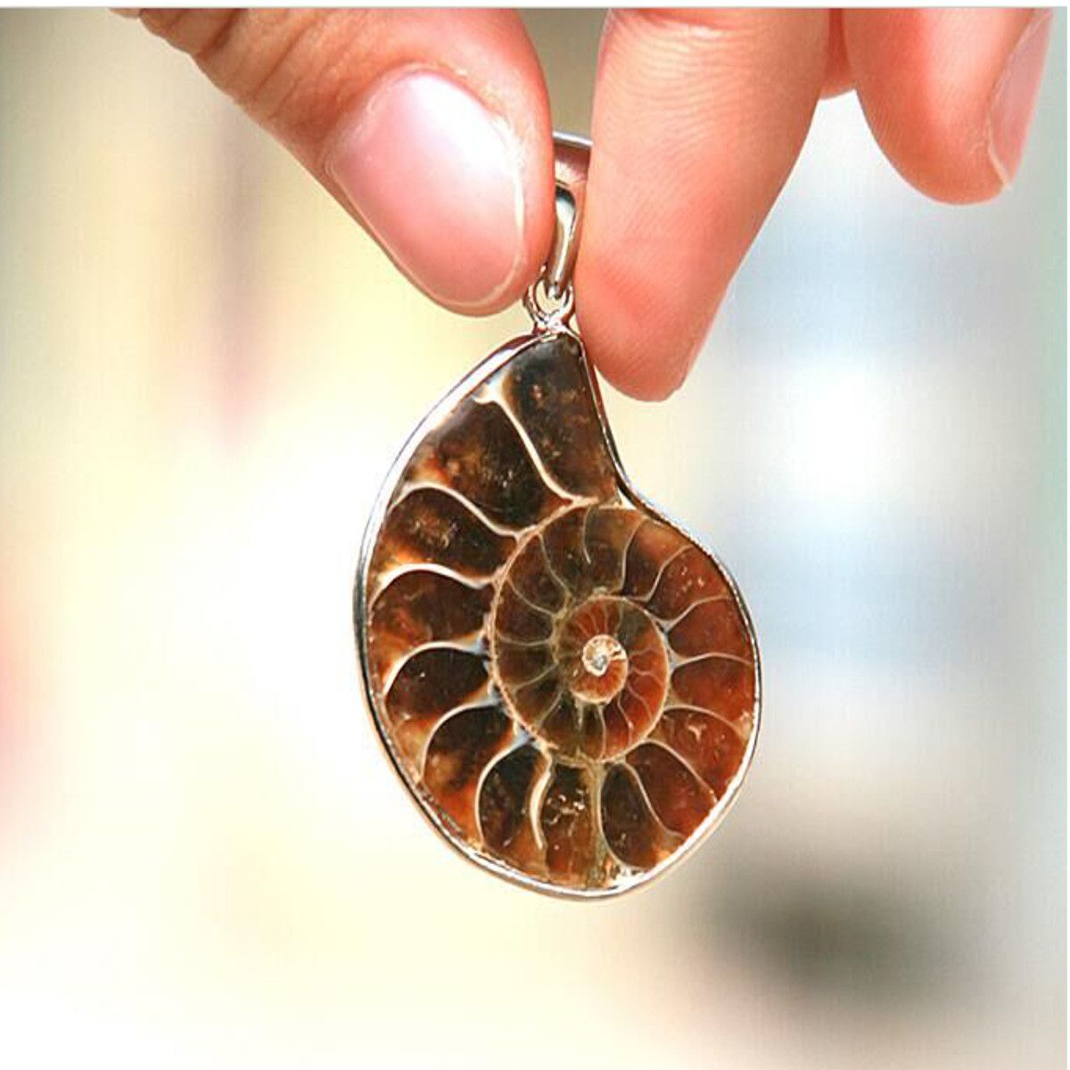 Hot-Madagascar-Sea-Natural-Druzy-Ammonite-Shell-Gemstone-Pendant-Necklace-1564304