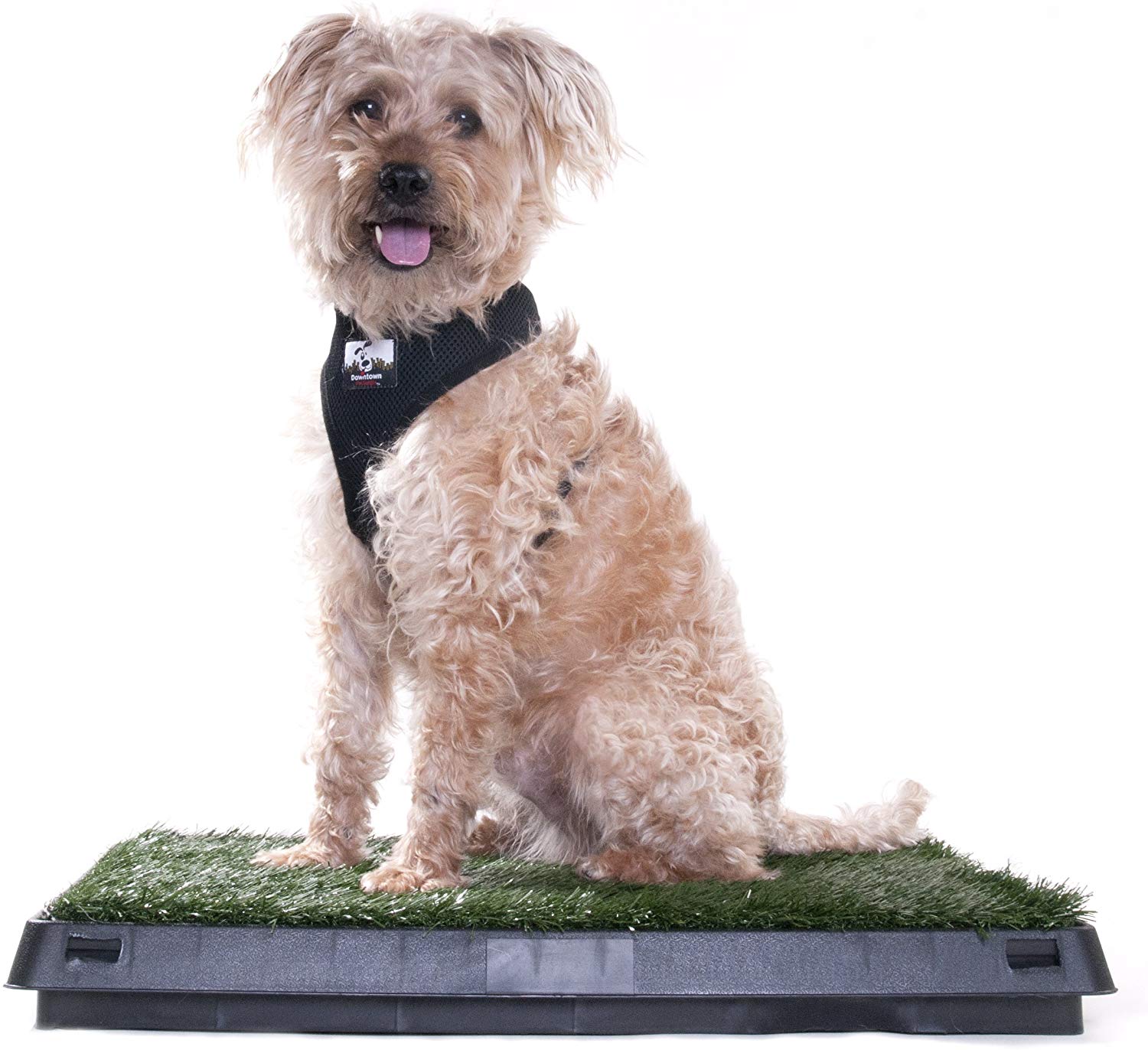Indoor-Dog-Pet-Potty-Training-Portable-Toilet-Pads-Tray-With-1-PC-Replace-Grass-Mat-1655628