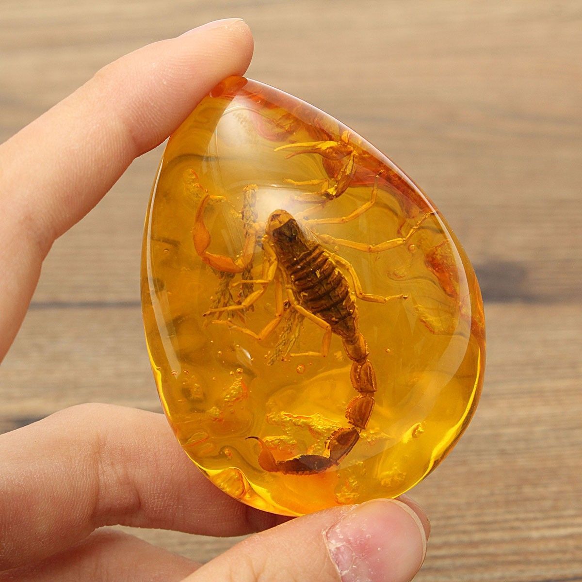 Insect-Stone-Scorpions-Inclusion-Amber-Baltic-Pendant-Necklace-Decorations-1476904