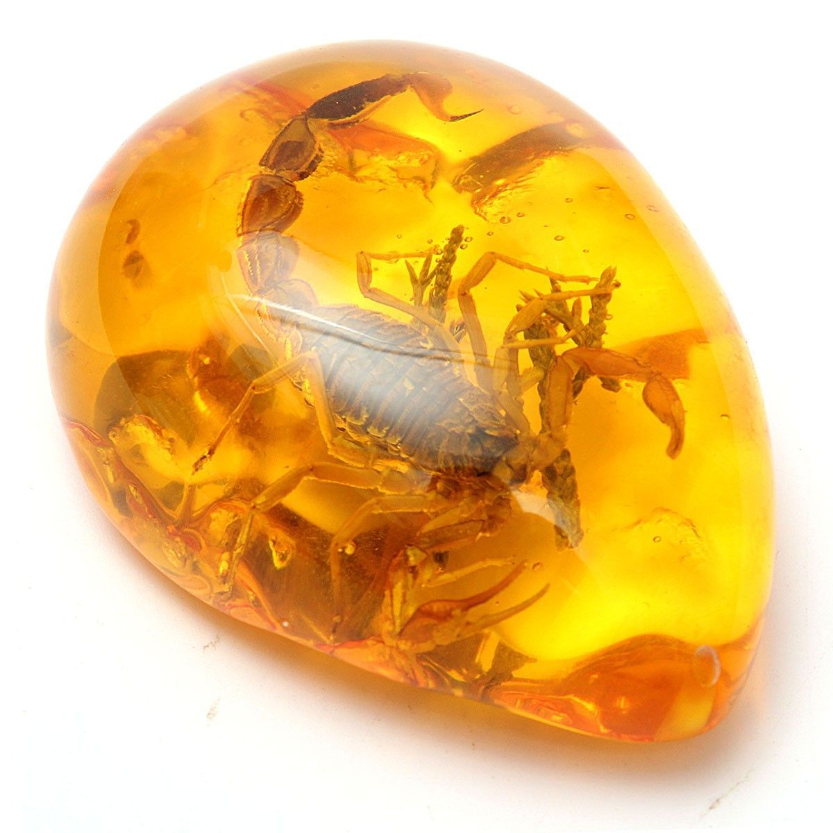 Insect-Stone-Scorpions-Inclusion-Amber-Baltic-Pendant-Necklace-Decorations-1476904