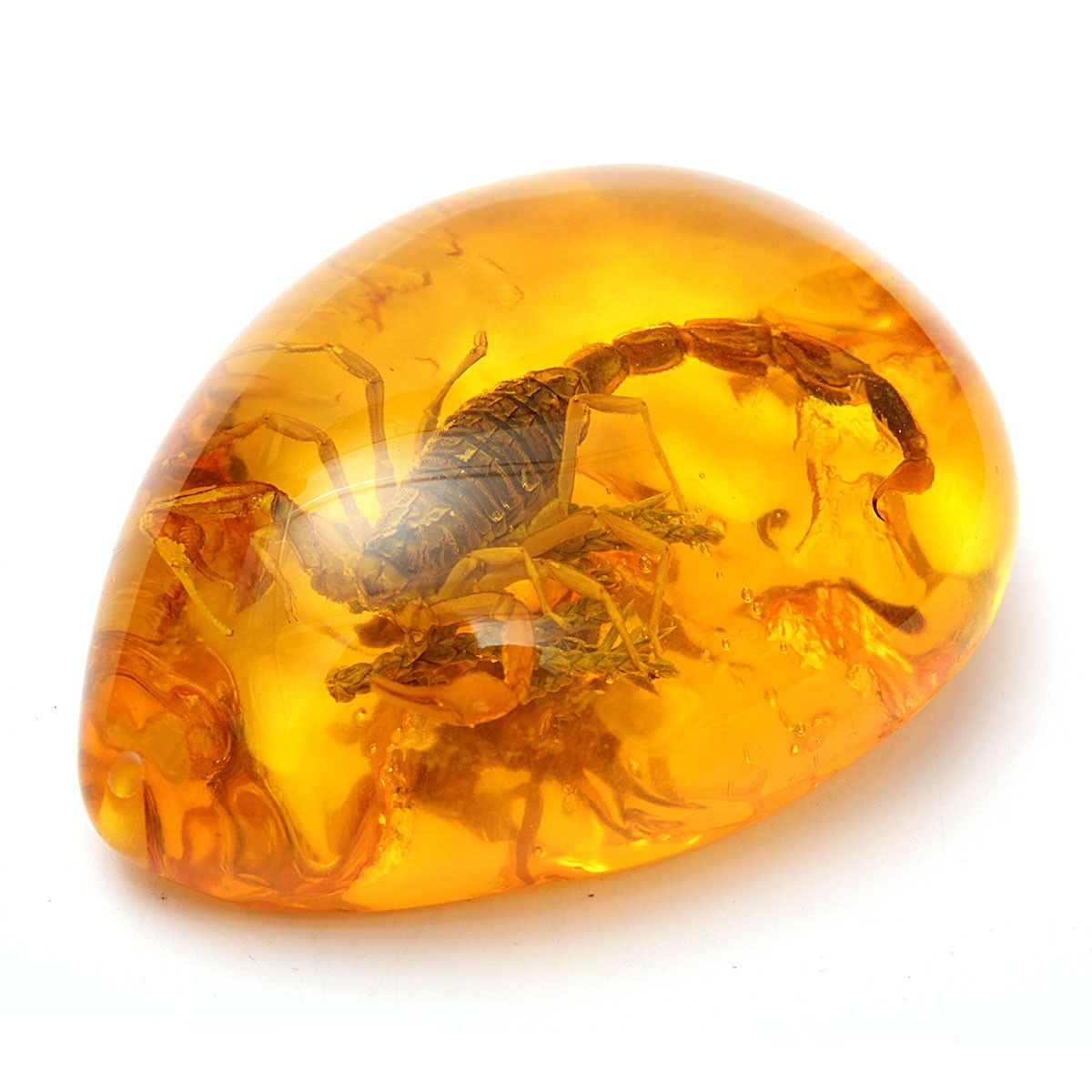 Insect-Stone-Scorpions-Inclusion-Amber-Baltic-Pendant-Necklace-Decorations-1476904