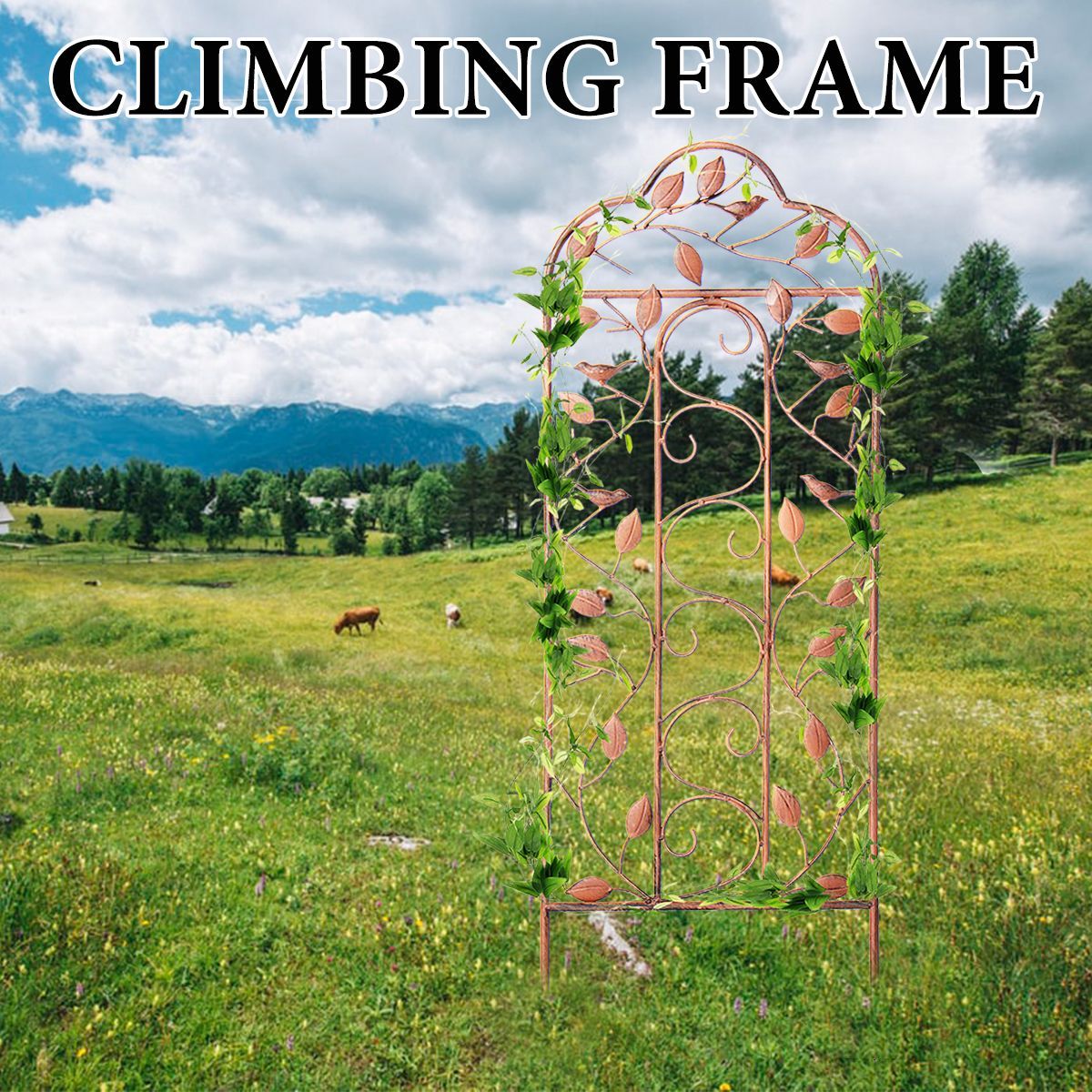 Iron-Bronze-Climbing-Frame-Vine-Bracket-1580051