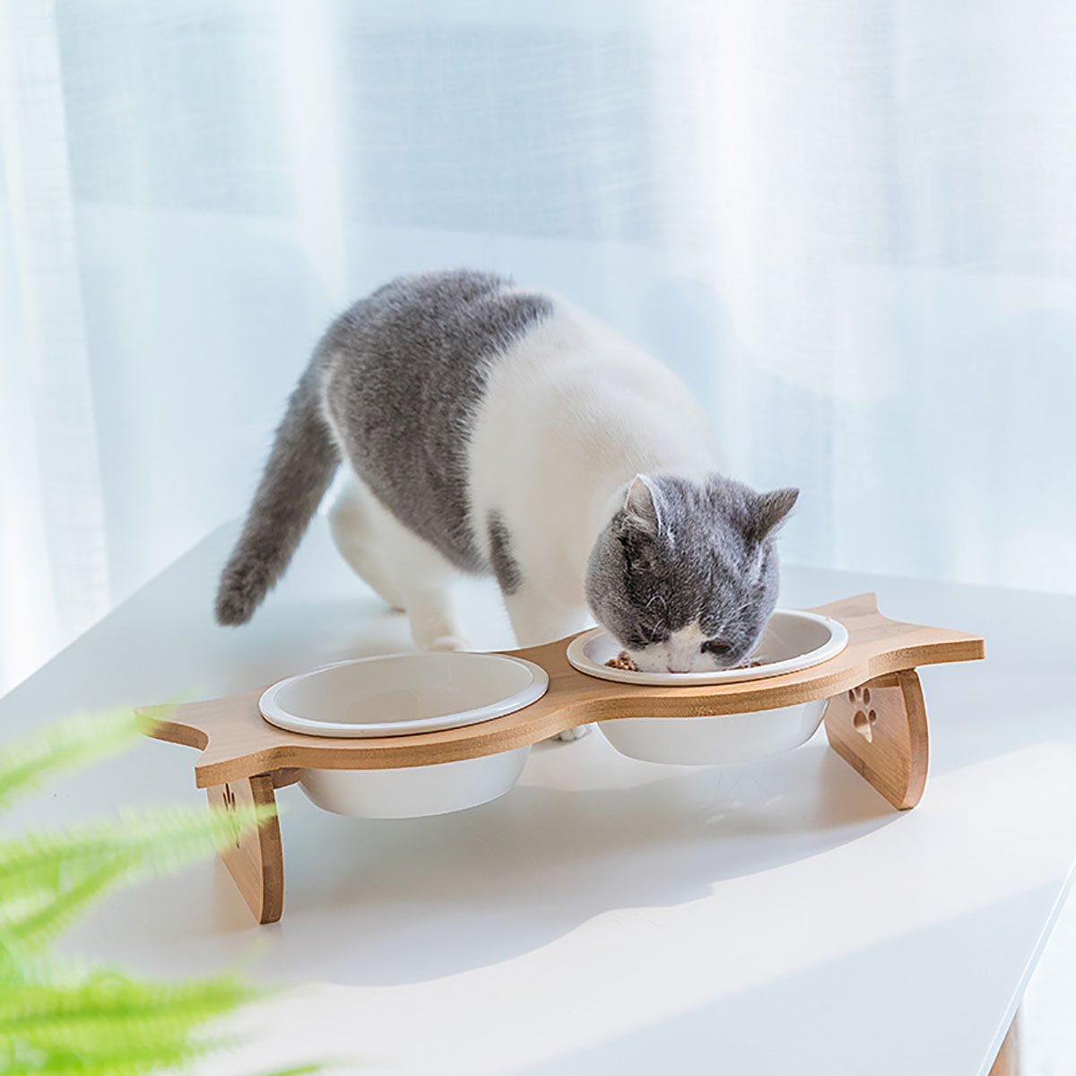 Large-Double-Pet-Bowl-Feeder-Cat-Dog-Food-Pot-Stand-Puppy-Stainless-SteelCeramics-1572037