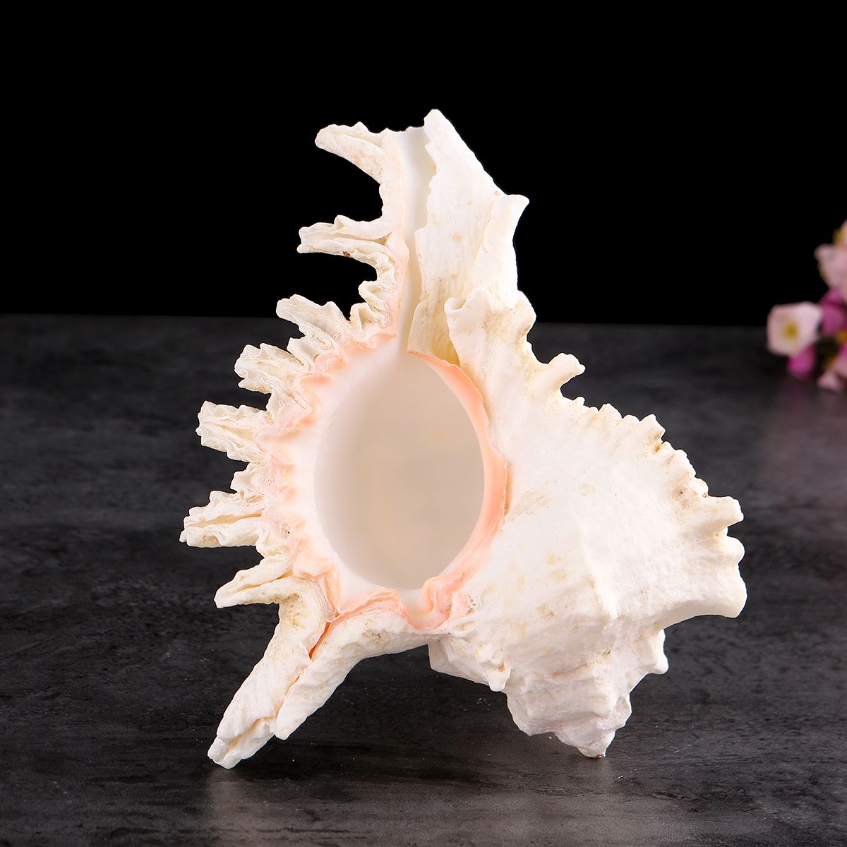 Large-Queen-Nautical-Shells-Conch-Natural-Seashell-Beach-Ocean-Home-Decorations-1535721