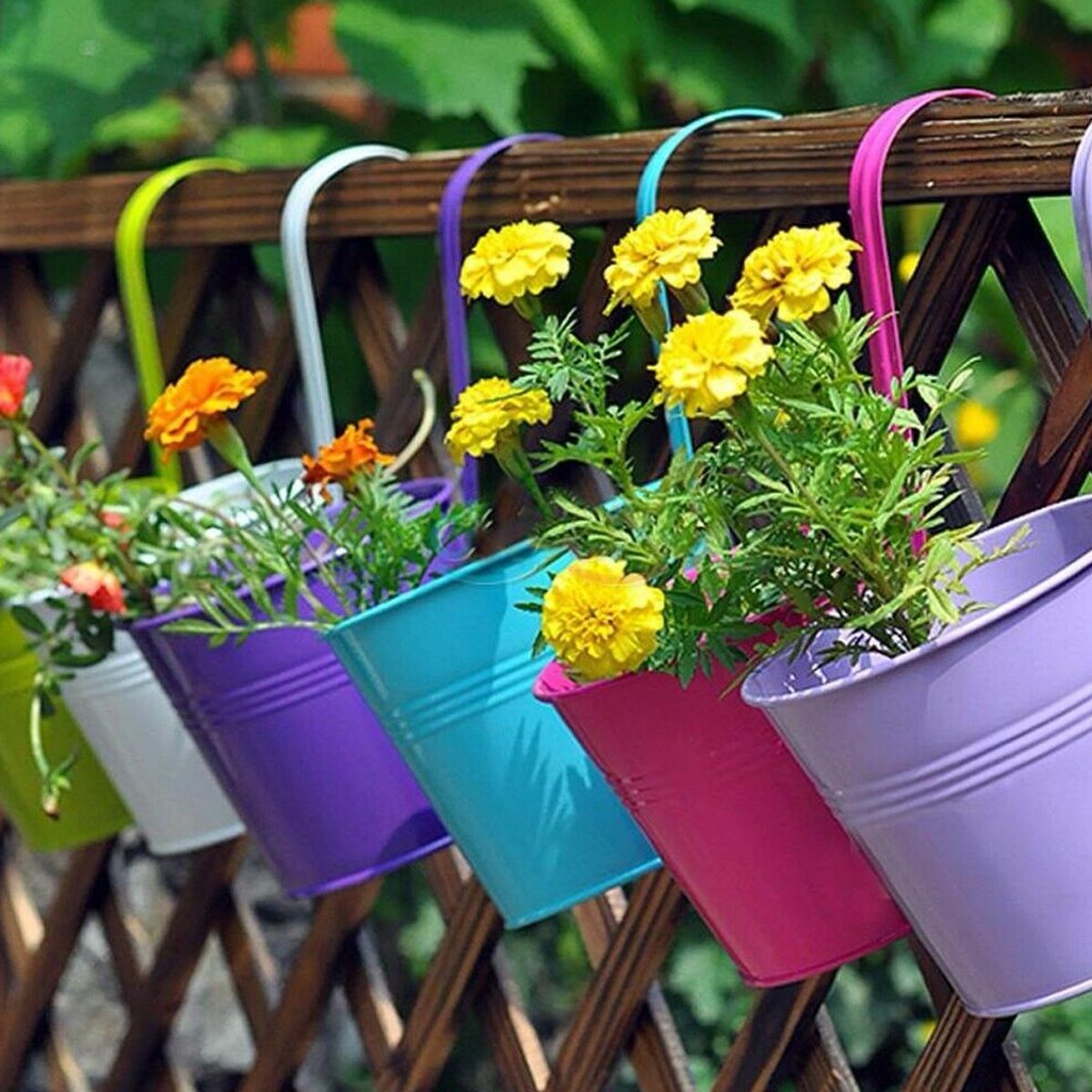 Mini-Flower-Pot-Hanging-Balcony-Garden-Planter-Metal-Hook-Iron-Bucket-Decoration-1735467