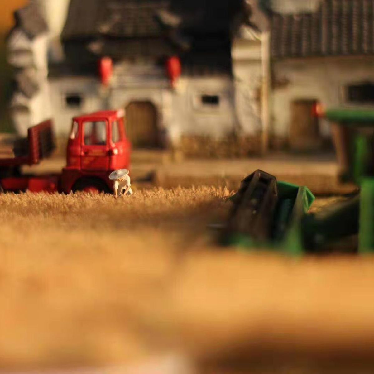Mini-Rice-Field-Grass-Model-Scenario-Train-Sand-Table-DIY-Modelling-Materials-Decorations-1653267