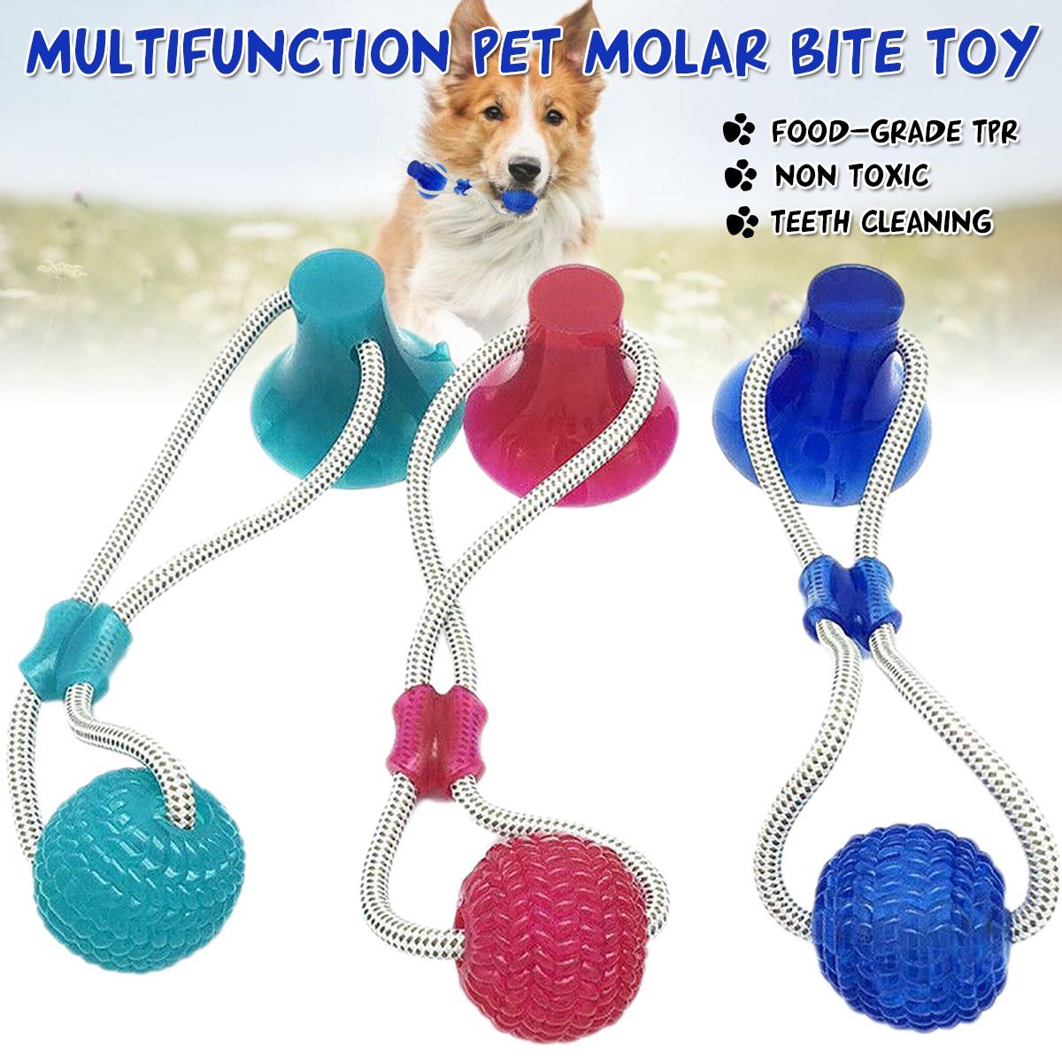 Multifunction-Pet-Molar-Bite-Toys--Suction-Cup-DogCat-Funny-Cute-Playing-Ball-1572042