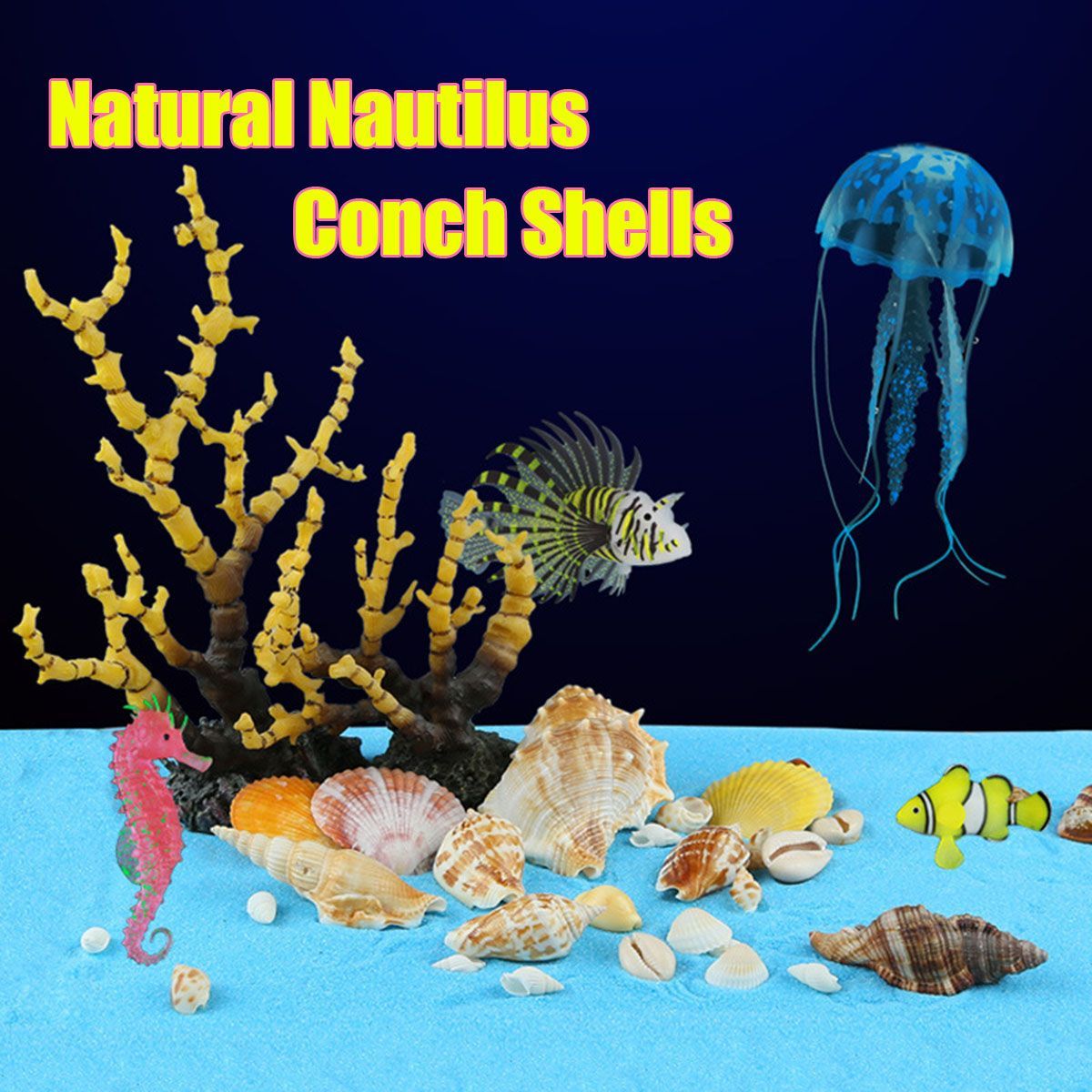 Natural-Conch-Shells-Decorations-1640314