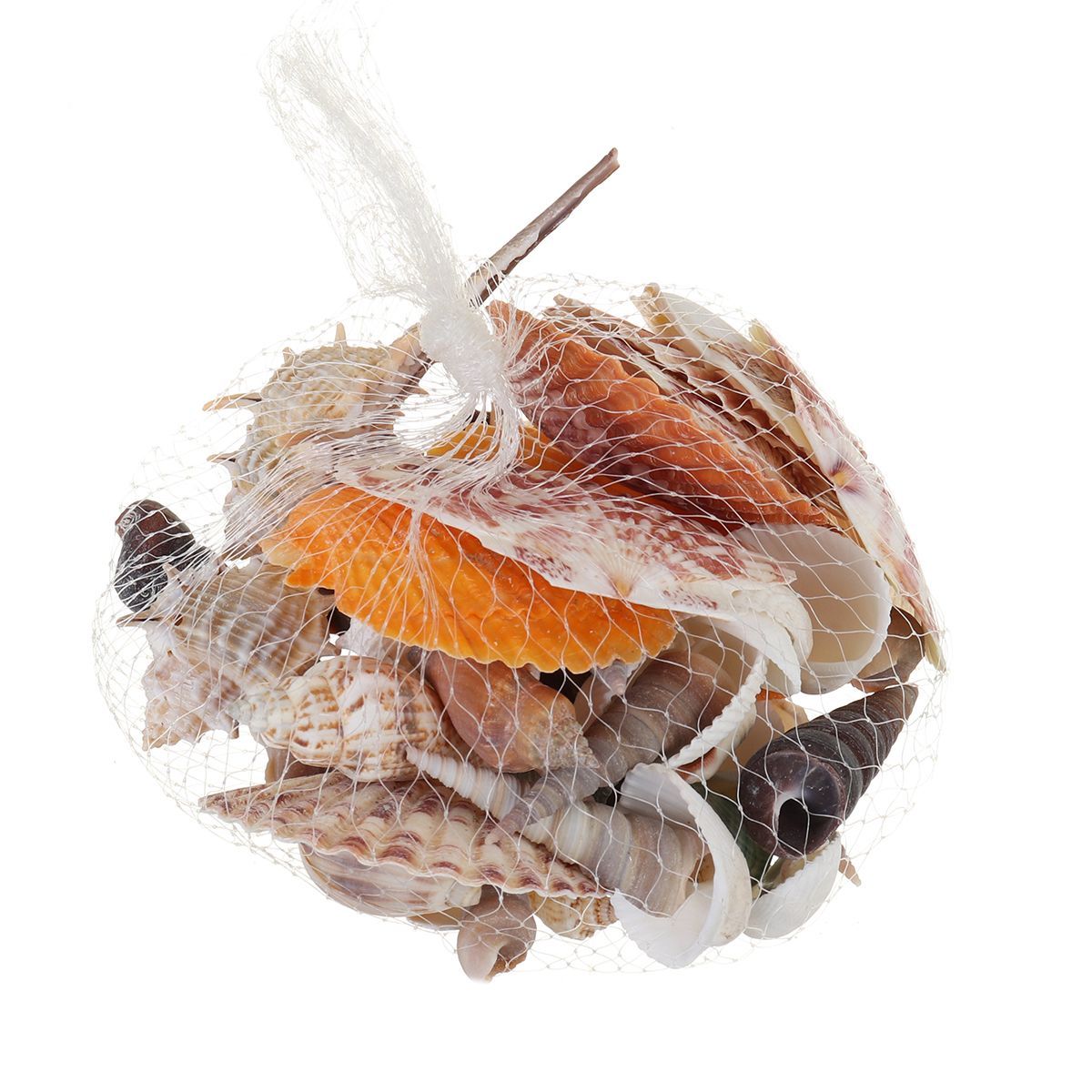 Natural-Conch-Shells-Decorations-1640314