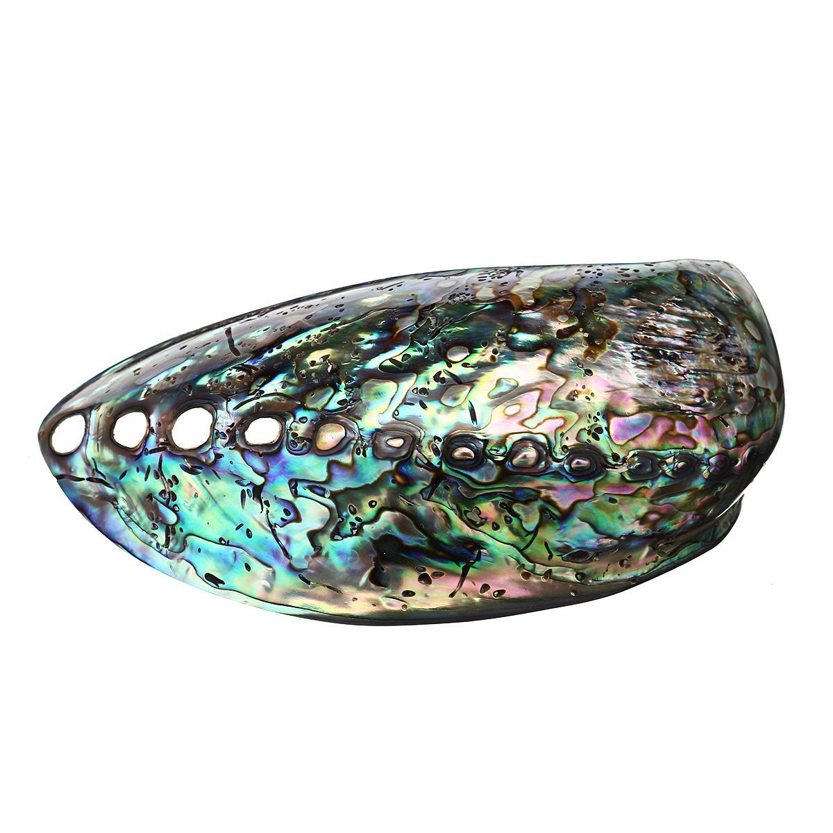 Natural-Fine-Polished-Abalone-Shell-Seashells-Conch-10-12cm-Home-Fish-Tank-Decorations-1537995