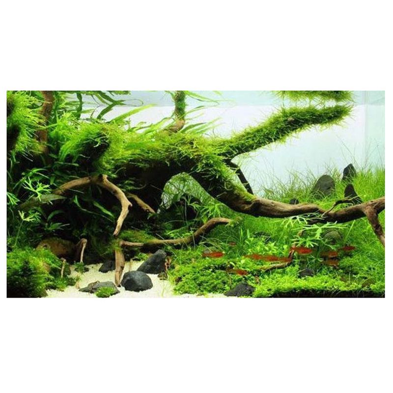 Natural-Wood-Trunk-Driftwood-Tree-Aquarium-Fish-Tank-Plant-Branch-Ornament-Landscape-Flower-Grass-De-1635470