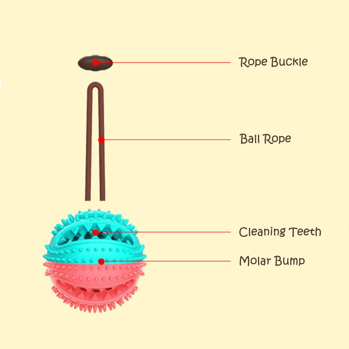 Pet-Molar-Bite-Toy-Dog-Ball-Chew-Toys-Pet-Tooth-Cleaning-Built-in-Sound-Toys-1638916