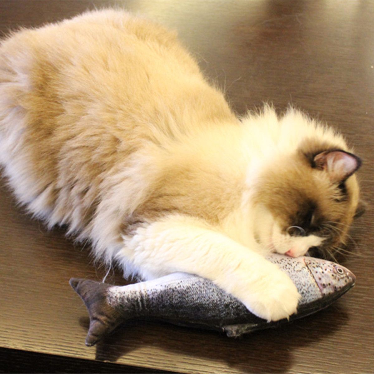 Realistic-Fish-Cat-Kicker-Cotton-Catnip-Scratching-Chewing-Playing-Decorations-1565785