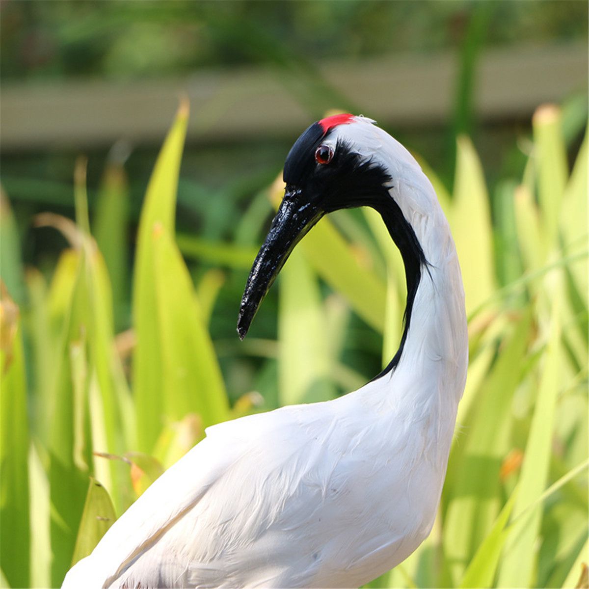 Realistic-Red-crowned-Crane-Outdoor-Home-Lawn-Pond-Ornament-Sculpture-Decorations-1554882