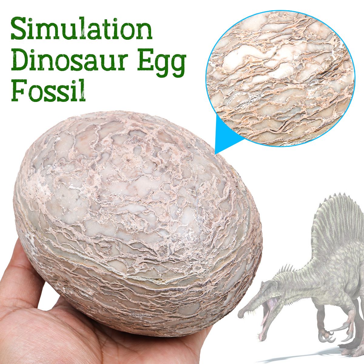 Segnosaur-Dinosaur-Egg-Simulation-Fossilized-Fossil-Teaching-Specimen-Room-Decorations-Gift-1399149