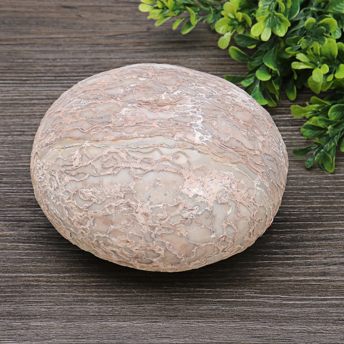 Segnosaur-Dinosaur-Egg-Simulation-Fossilized-Fossil-Teaching-Specimen-Room-Decorations-Gift-1399149