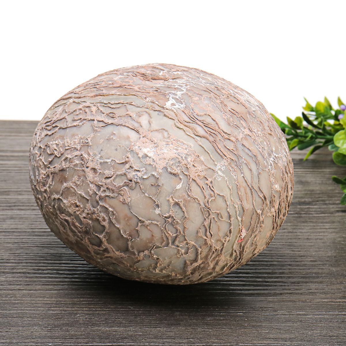 Segnosaur-Dinosaur-Egg-Simulation-Fossilized-Fossil-Teaching-Specimen-Room-Decorations-Gift-1399149