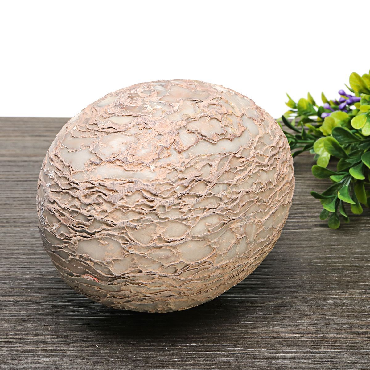 Segnosaur-Dinosaur-Egg-Simulation-Fossilized-Fossil-Teaching-Specimen-Room-Decorations-Gift-1399149