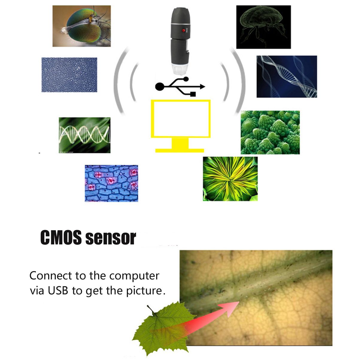 1600X-Zoom-8-LED-USB-Digital-Microscope-Hand-Held-Biological-Endoscope-with-Bracket-1222332