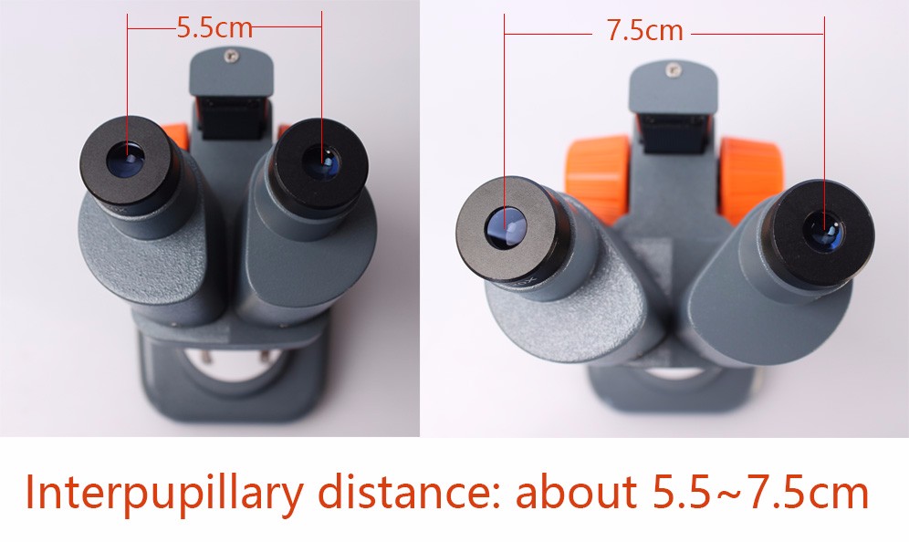 40X-Binocular-Stereo-Microscope-LED-Light-PCB-Solder-Mineral-Specimen-Watch-Students-Kids-Science-Ed-1132980