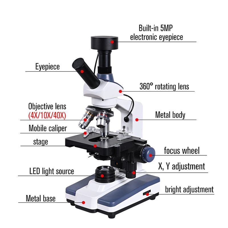 Black-Background-HD-Digital-Biological-Lab-Microscope-LED-Light--5MP-Electronic-Eyepiece--USB-Data-L-1594473