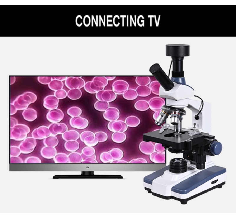 Black-Background-HD-Digital-Biological-Lab-Microscope-LED-Light--5MP-Electronic-Eyepiece--USB-Data-L-1594473