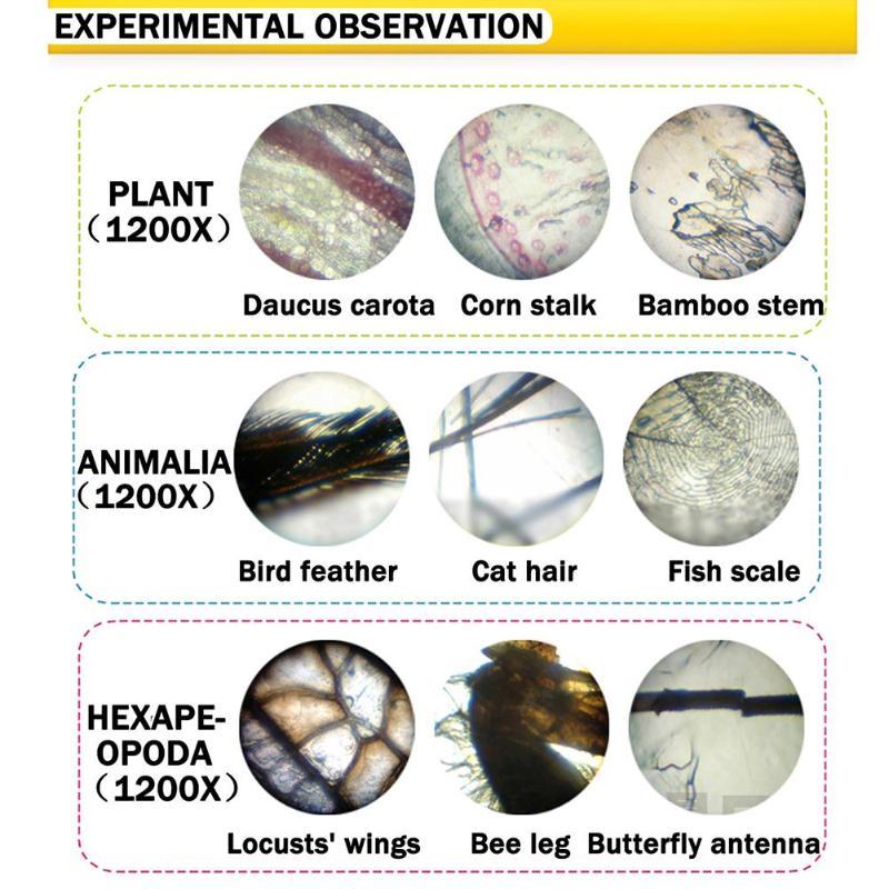 Microscope-Kit-Lab-100X-200X-450X-Home-School-Science-Educational-Toy-Gift-Refined-Biological-Micros-1594468