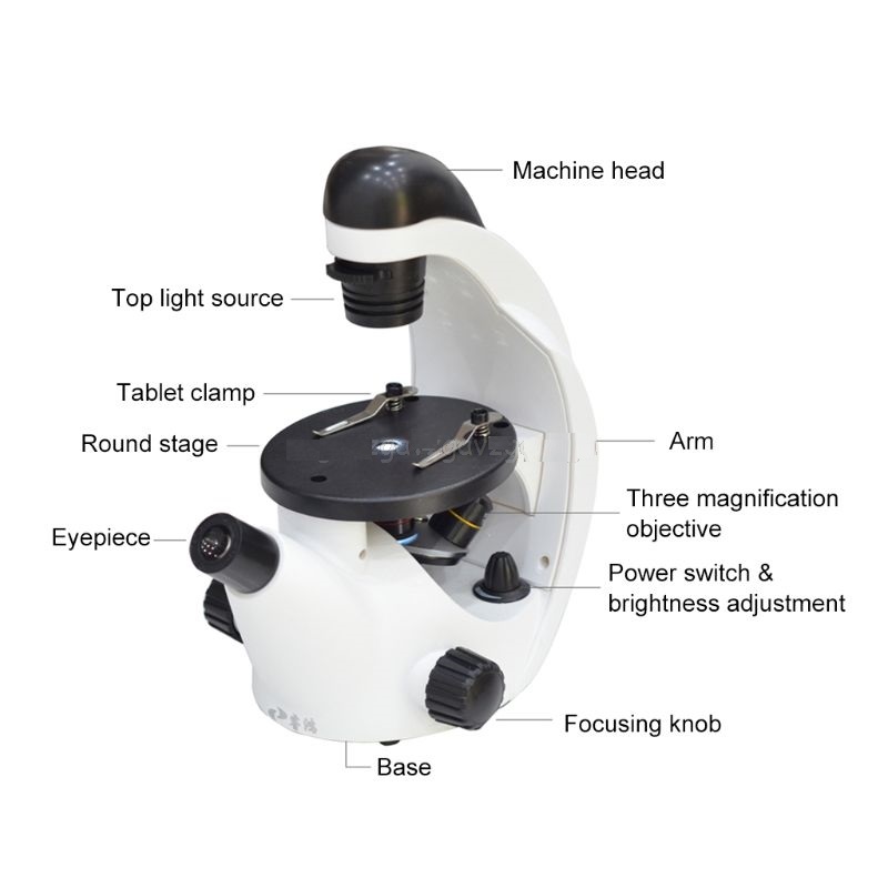 Monocular-Triple-4x-10x-20x-Coarse-40x-320x-Focusing-Home-School-Science-Educational-Student-Mini-In-1587646