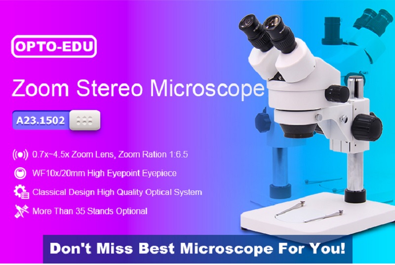 OPTO-EDU-A231502-B1-IT-Testing-Use-Binocular-Head-Zoom-Anatomical-Microscope-1594476