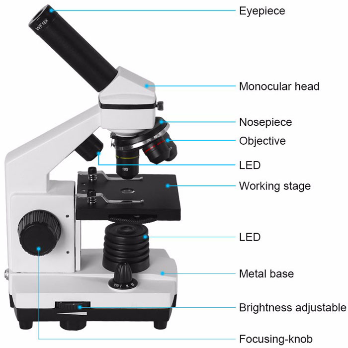 Professional-Biological-Microscope-64X-640X-Student-Science-Educational-Lab-Monocular-Microscope-1277029