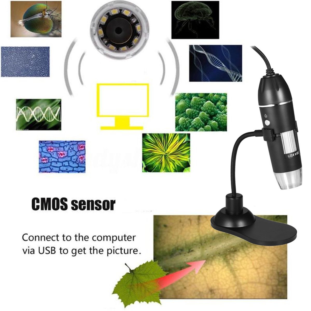 USB-Multipurpose-1000X-Magnification-Digital-Zoom-Microscope-03MP-Camera-Stand-1571296