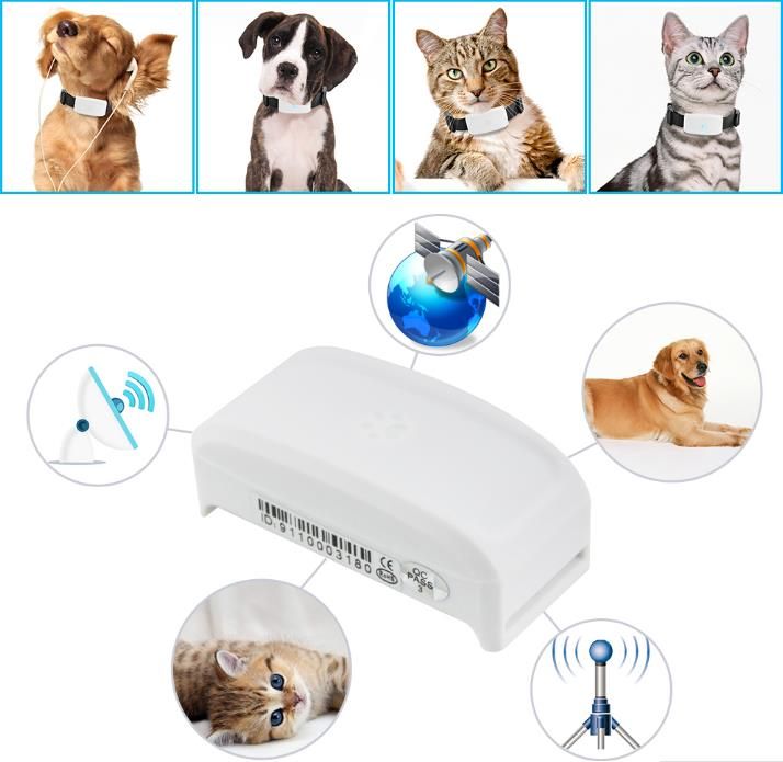 TKSTAR-TK911-WIFI-Pet-GPS-Tracker-Locator-Waterproof-Adsorption-Charging-Free-Web-Platform-APP-1395506