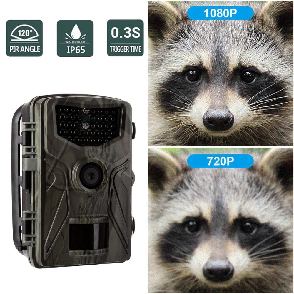 HC804A-16MP-1080P-HD-IR-Night-Vision-IP65-Waterproof-Hunting-Trail-Camera-Motion-Activated-Wildlife--1755890