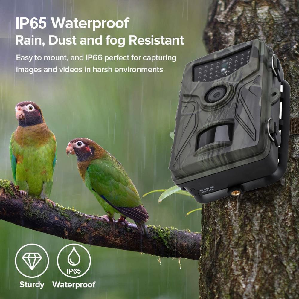 HC804A-16MP-1080P-HD-IR-Night-Vision-IP65-Waterproof-Hunting-Trail-Camera-Motion-Activated-Wildlife--1755890