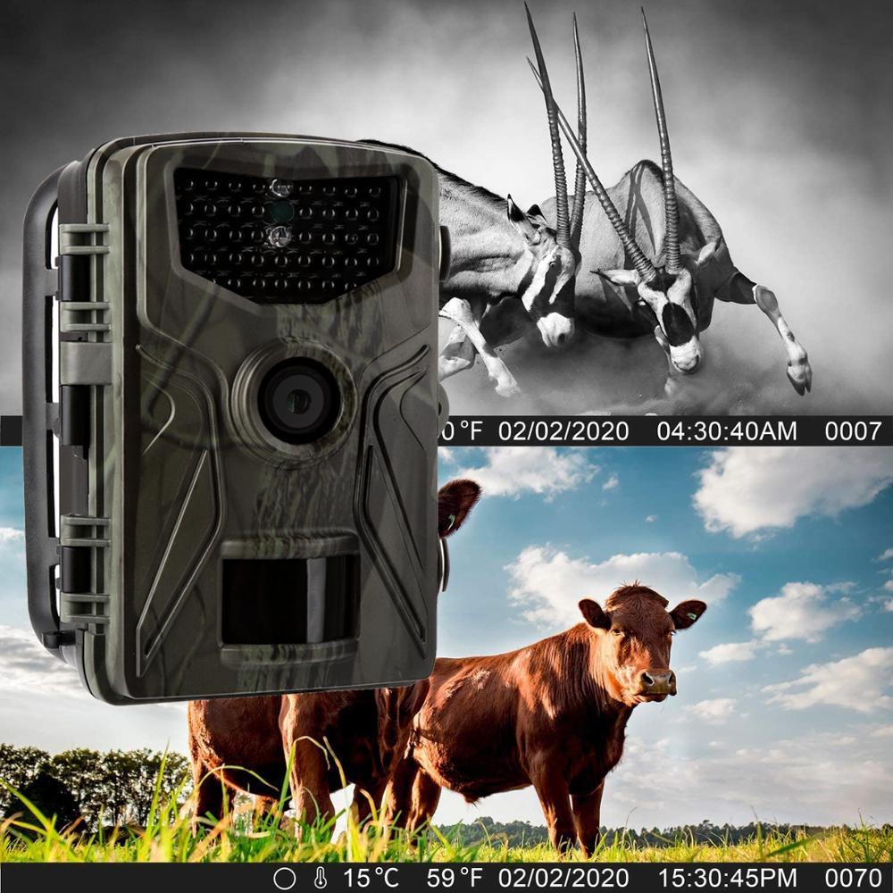 HC804A-16MP-1080P-HD-IR-Night-Vision-IP65-Waterproof-Hunting-Trail-Camera-Motion-Activated-Wildlife--1755890