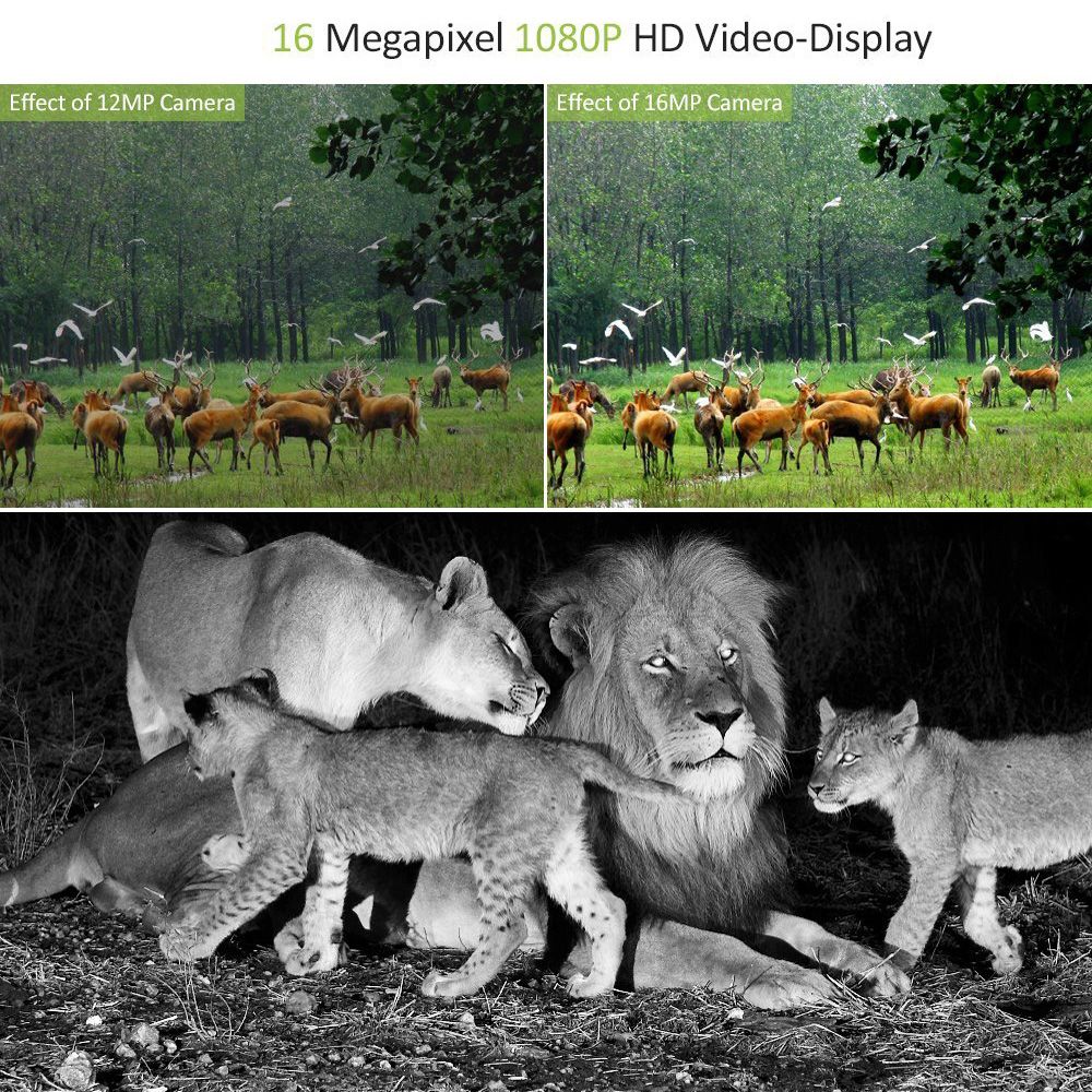 LW16M-Waterproof-16MP-1080P-HD-120-Degree-940nm-IR-LED-Infrared-Wildlife-Trail-Trap-Hunting-Camera-1339976