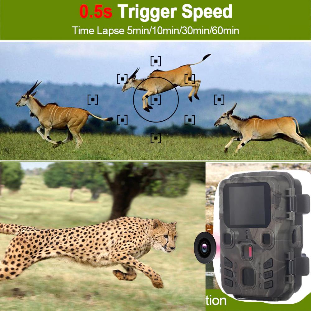 Mini301-16MP-1080P-IP65-Waterproof-Hunting-Trail-Camera-Outdoor-Night-Vision-Scouting-Surveillance-W-1711180