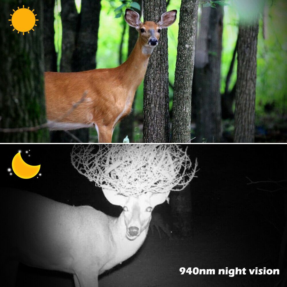 PR600B-12MP-1080P-Night-Vision-Waterproof-Hunting-Camera-08s-Trigger-Time-Recorder-Wildlife-Trail-Ca-1722815