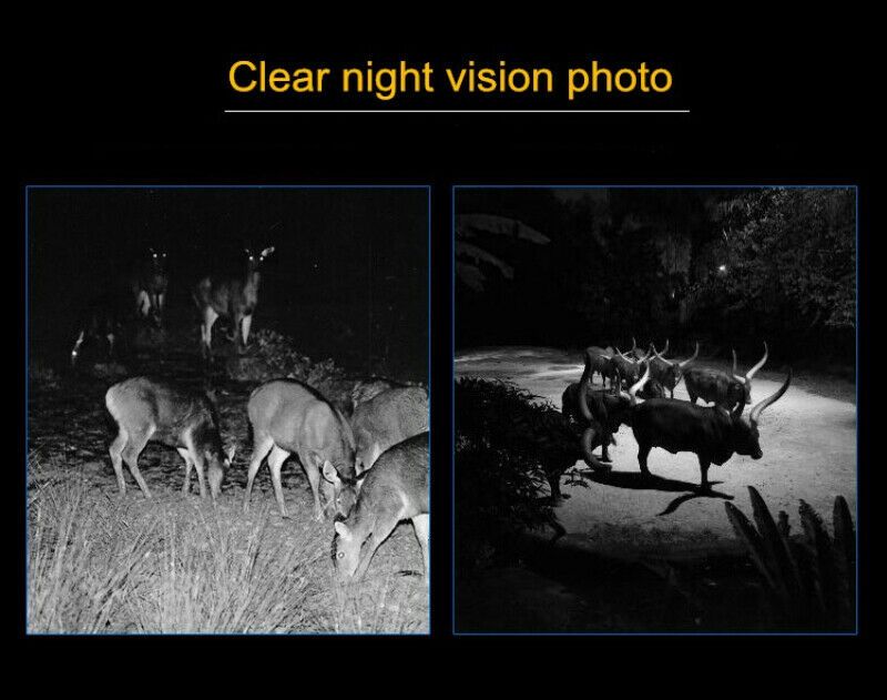 S300-20MP-1080P-PIR-Night-Vision-IP65-Waterproof-Hunting-Camera-Motion-Detecting-Outdoor-Wildlife-Tr-1756498