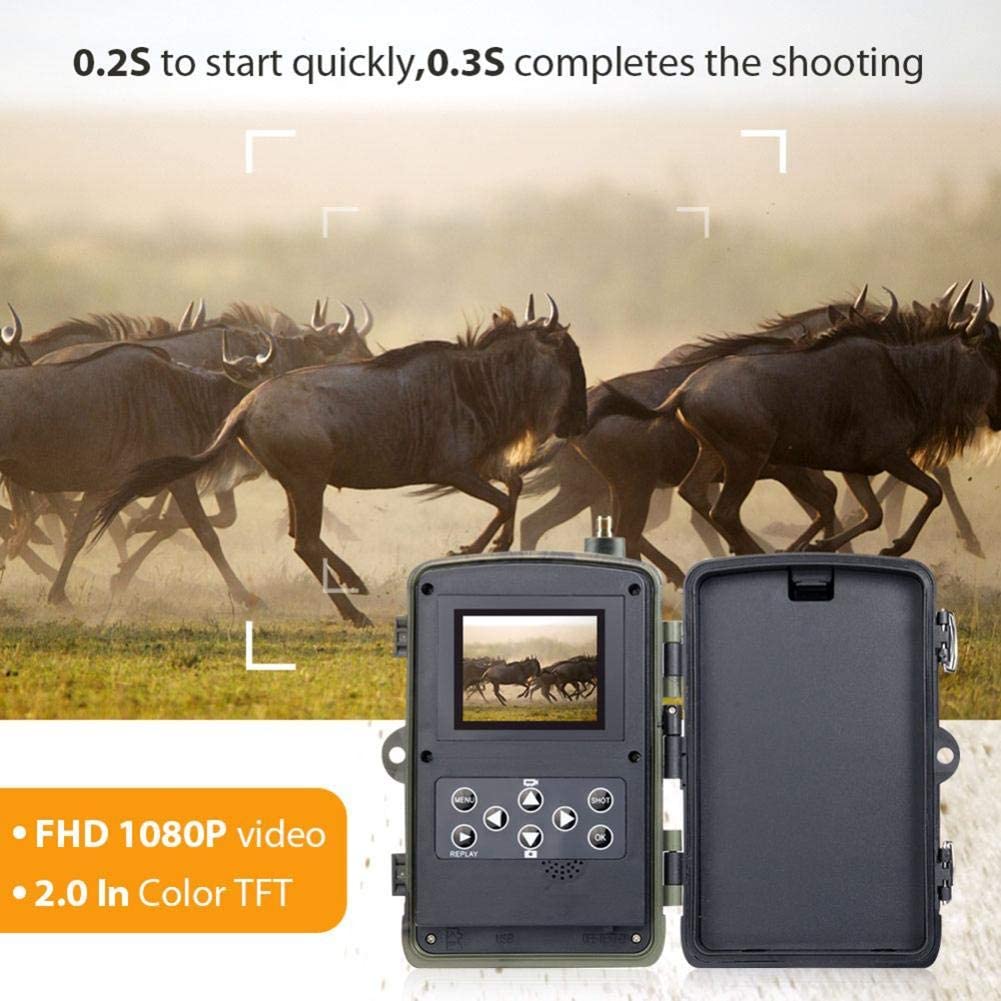 Suntek-HC-801M-2G-1080P-HD-16MP-IP65-Waterproof-Hunting-Wildlife-Trail-Track-Camera-Support-GPRS-GSM-1528891