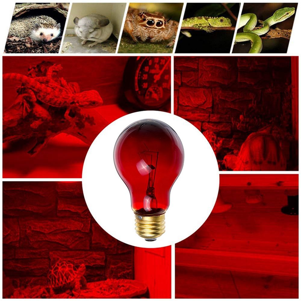 75W-Heat-Lamp-Heating-Infrared-Pet-Light-Bulb-for-Reptile-Tortoise-AC110V-1465081
